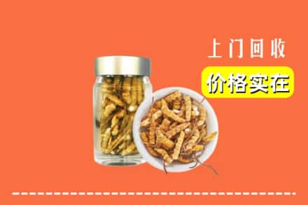 收购资讯:琼中县回收散虫草