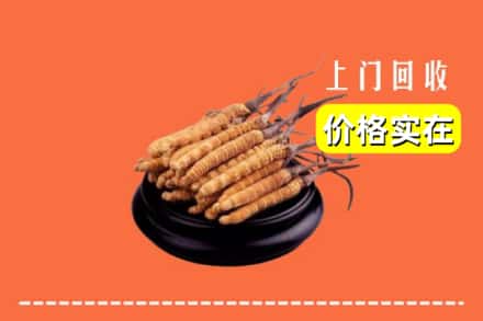 琼中县回收冬虫夏草