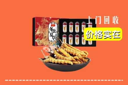 琼中县回收虫草